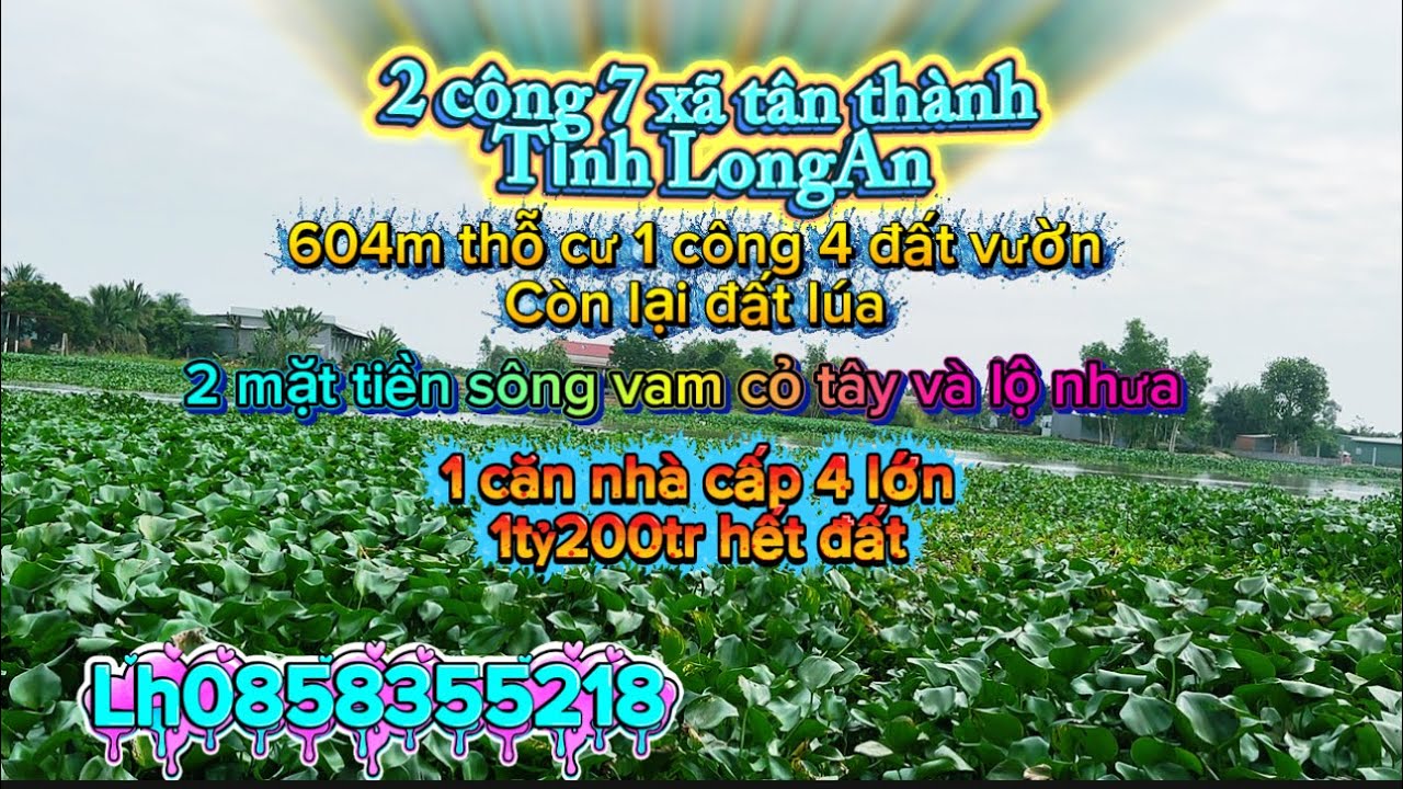 2 công 7 xã Tân thành tỉnh LongAn 604m thỗ cư 1400m vườn 2 mặt tiền sông vam cỏ tây 1 can nhà cấp 4 