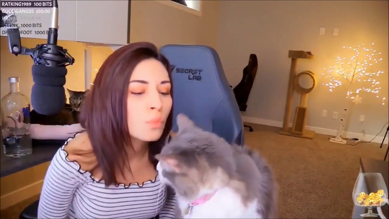 Alinity Cat Vodka Video - Retarded