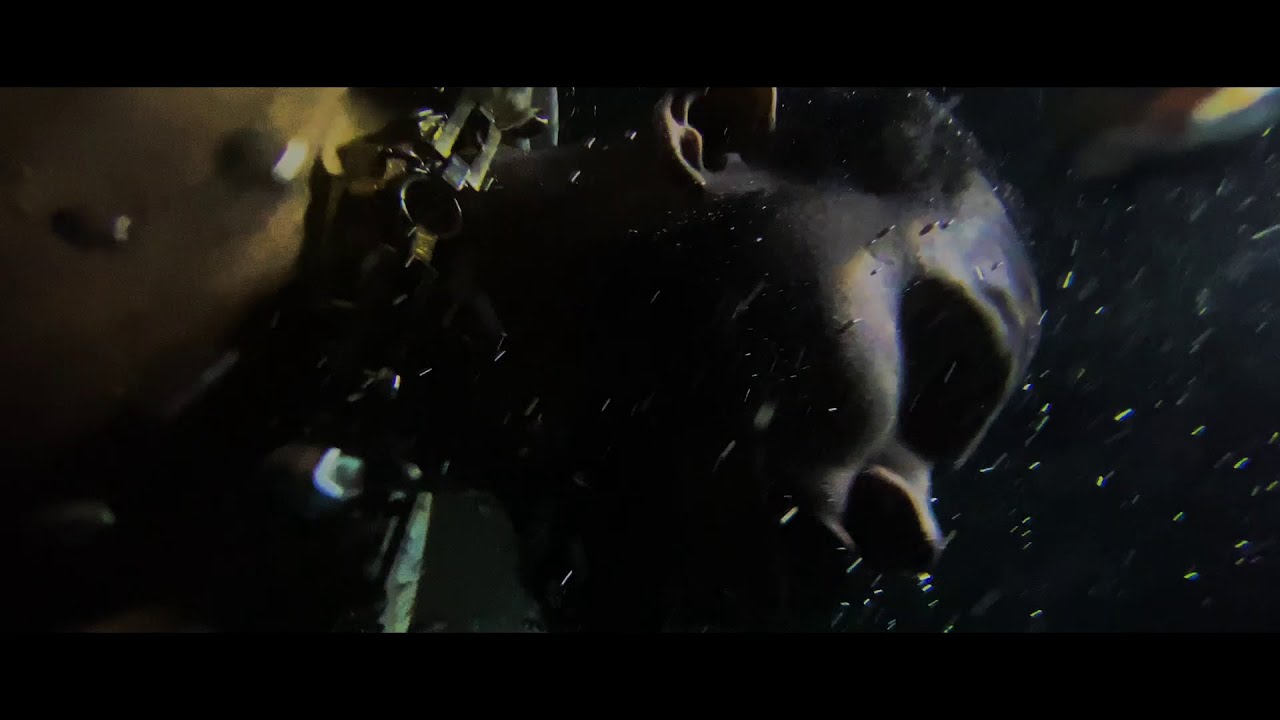 Asha Imuno - SIX PACK (Official Video)