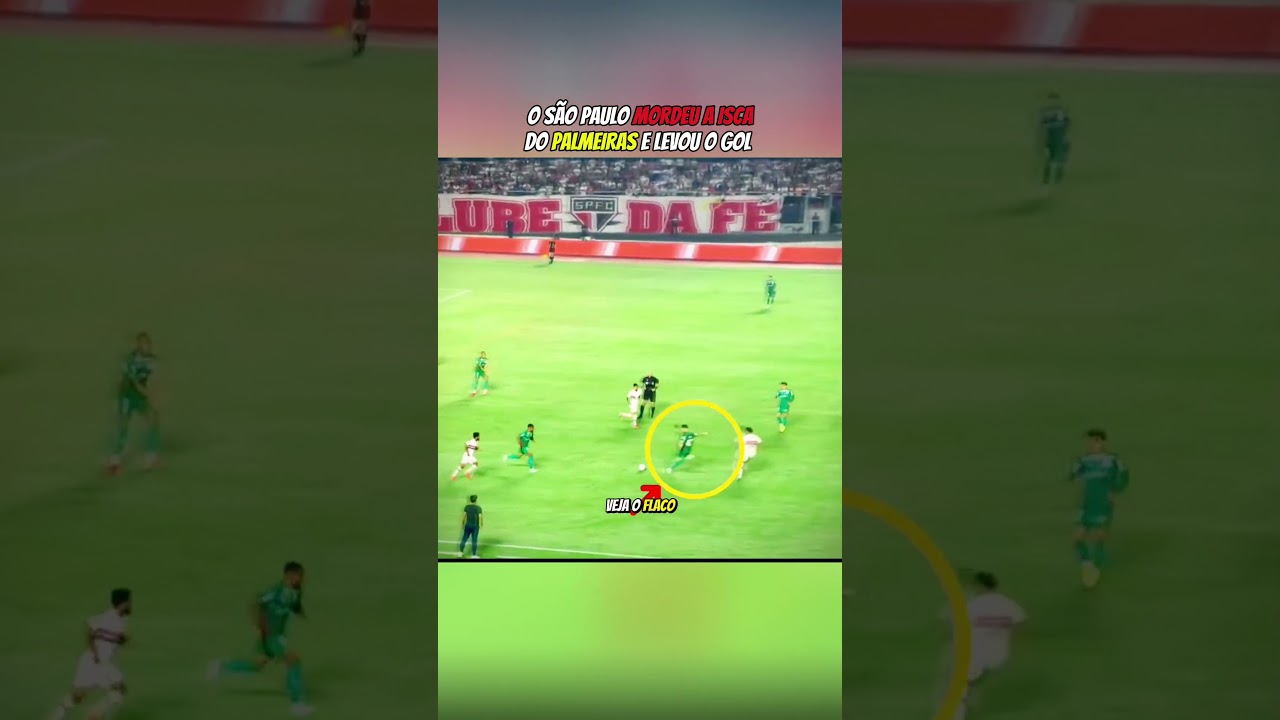 O que ningu&eacute;m percebeu no gol do Palmeiras #futebol #brasileir&atilde;o #palmeiras #saopaulofc