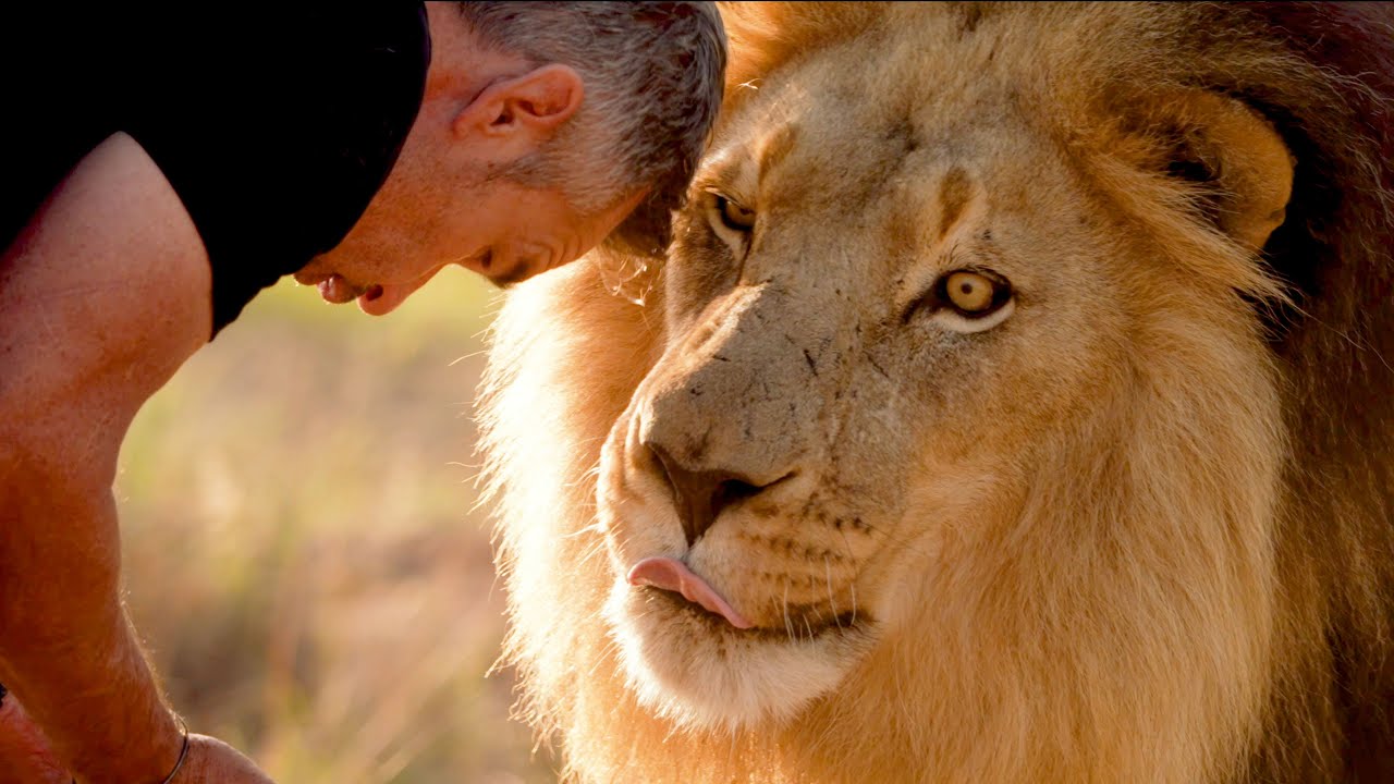 The Last Lion | The Lion Whisperer