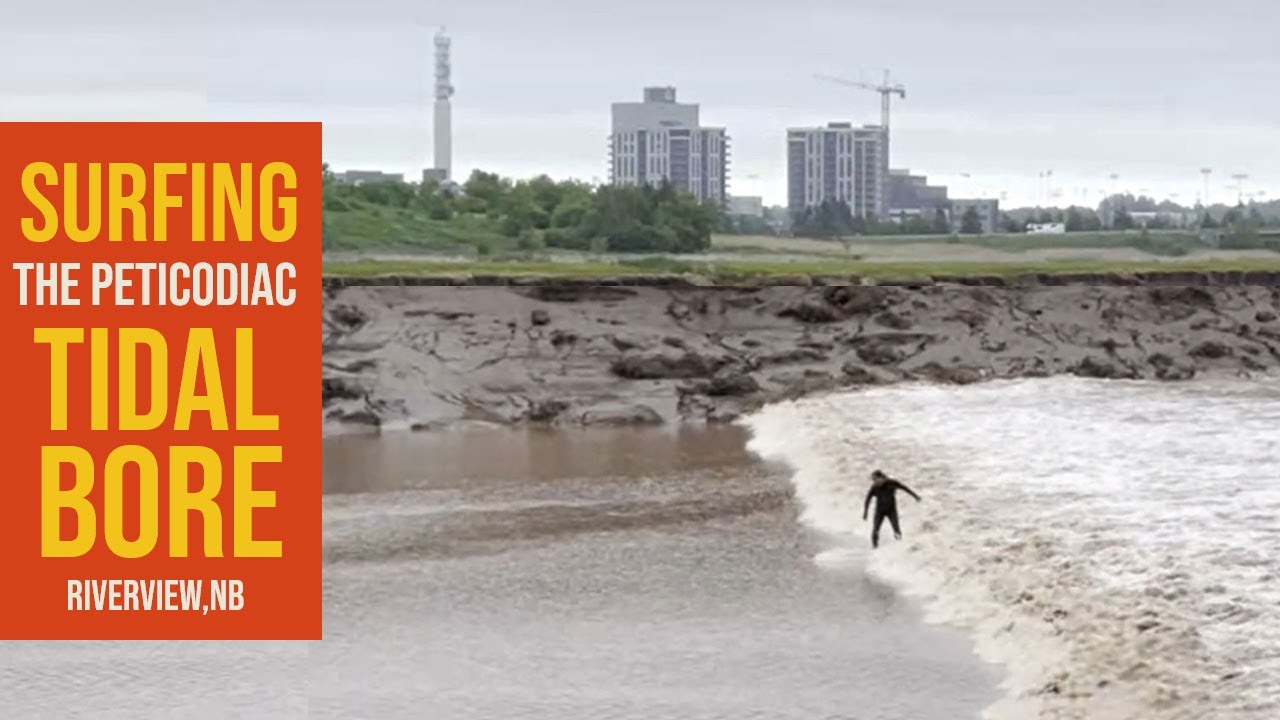 Surfing the Tidal Bore