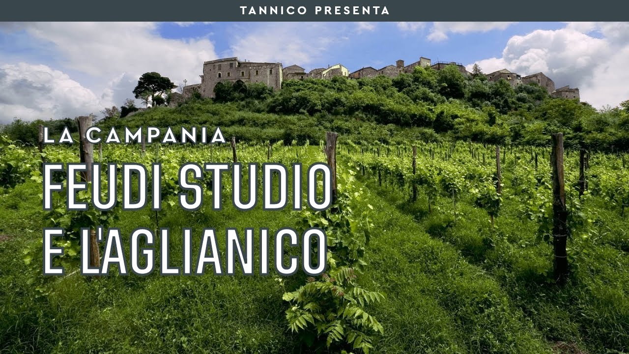 Feudi Studio, alla scoperta dell’Aglianico | Tannico
