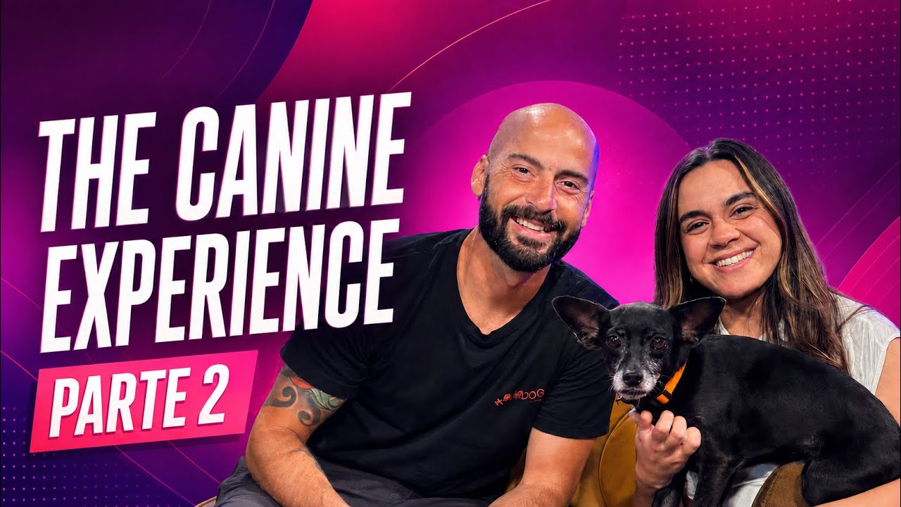 La clave para un perro más tranquilo (no es solo entrenarlo)