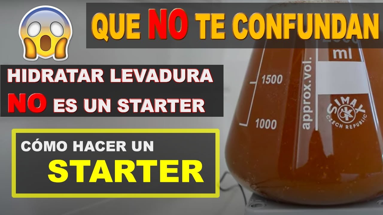 Hacer un SARTER de levadura SECA ✅ Como hacer CERVEZA artesanal