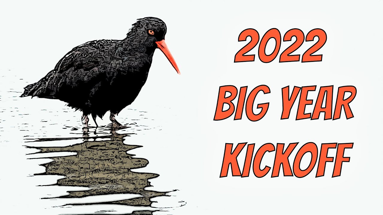 2022 Birding Big Year Kickoff