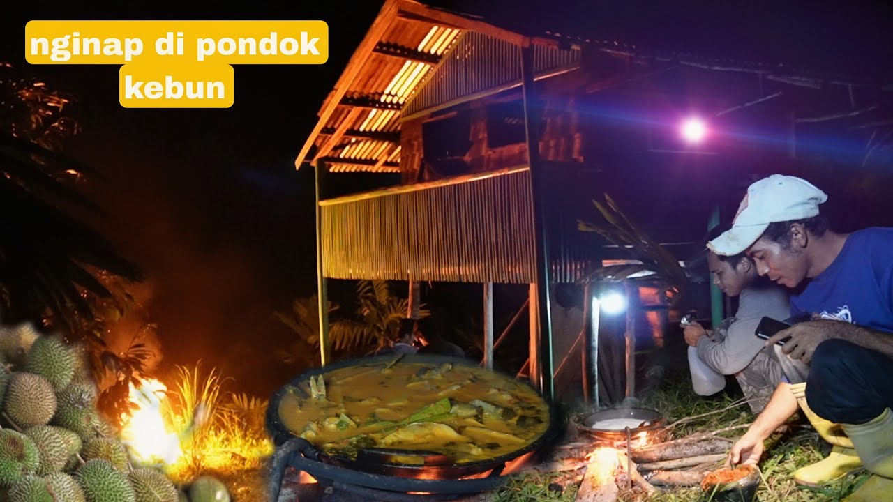 AKHIRNYA BISA KESAMPAIAN JUGA CAMP DI PONDOK VILA DAN BERTUALANG DI MALAM HARI