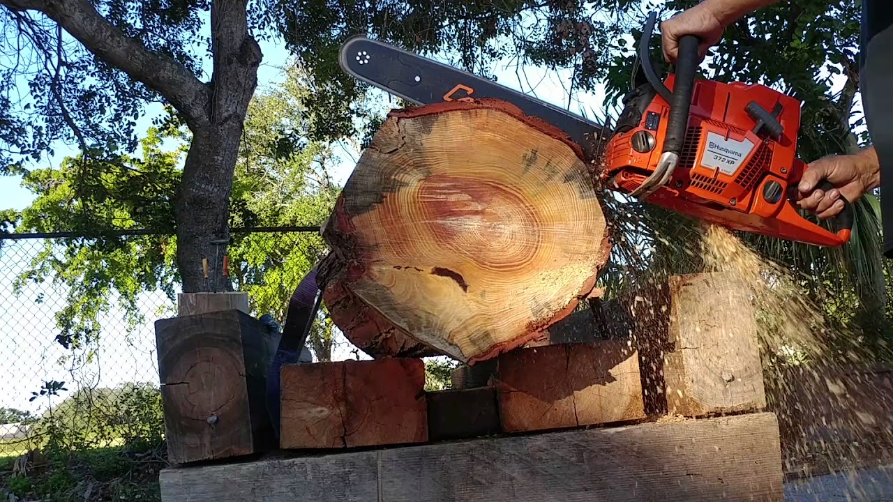 STIHL MS 460 HUSKY 372XP SOLO 675 75CC shootout
