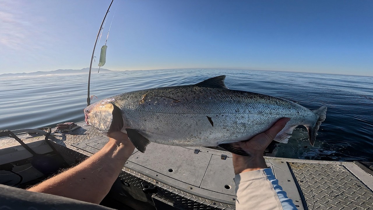 Путешествие по дикому побережью Британской Колумбии: грандиозное двухдневное приключение в поиска...