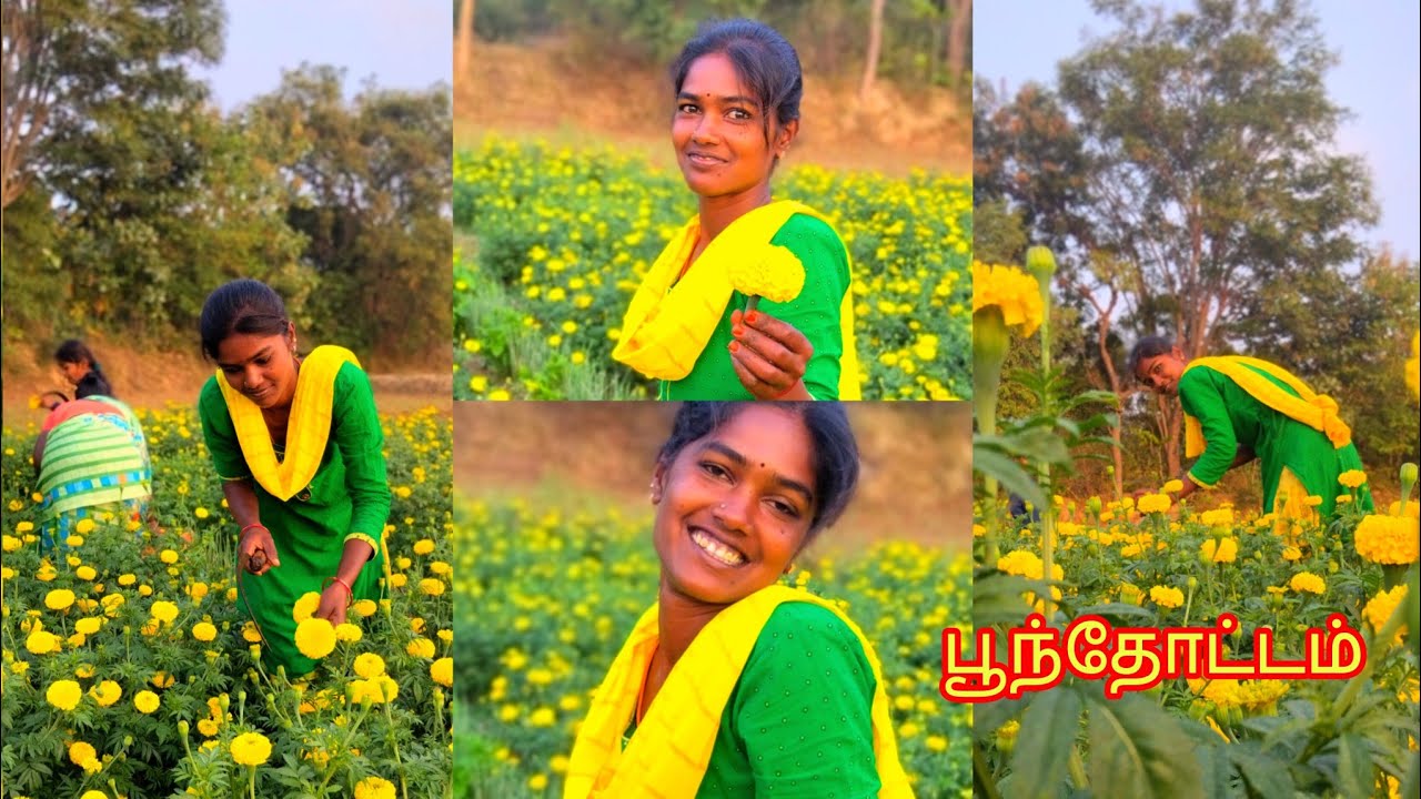 Poonthottam 🌼அம்மா வீட்டு பூந்தோட்டம்#villagelife