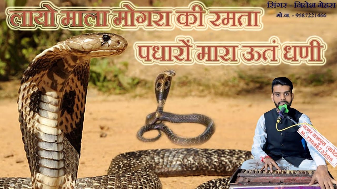 लायो माला मोगरा की रमता पधारों मारा ऊत धणी || सिंगर नितेश मेहरा. मों. 9587221466 