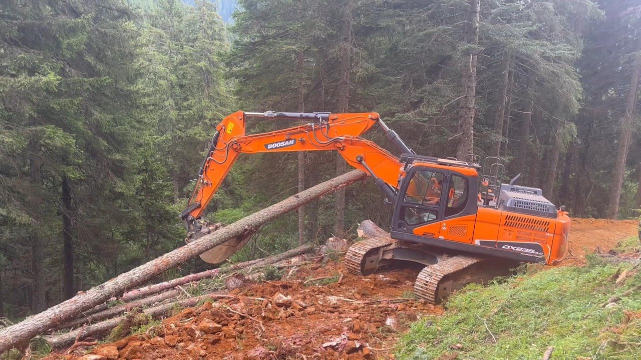 Forest Road Construction - Doosan DX 235 NLC