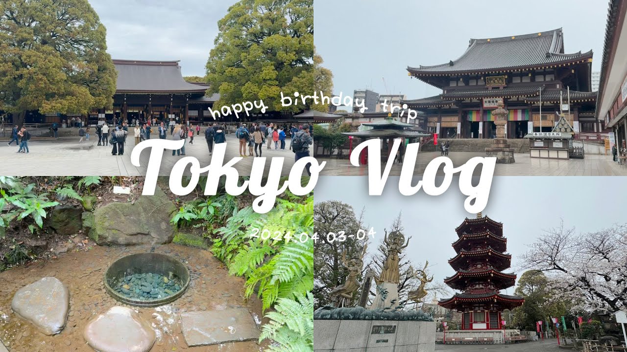 【東京ひとり旅】誕生日にライブ参戦して感動した東京ひとり旅vlog / 明治神宮で心身ともに癒されました