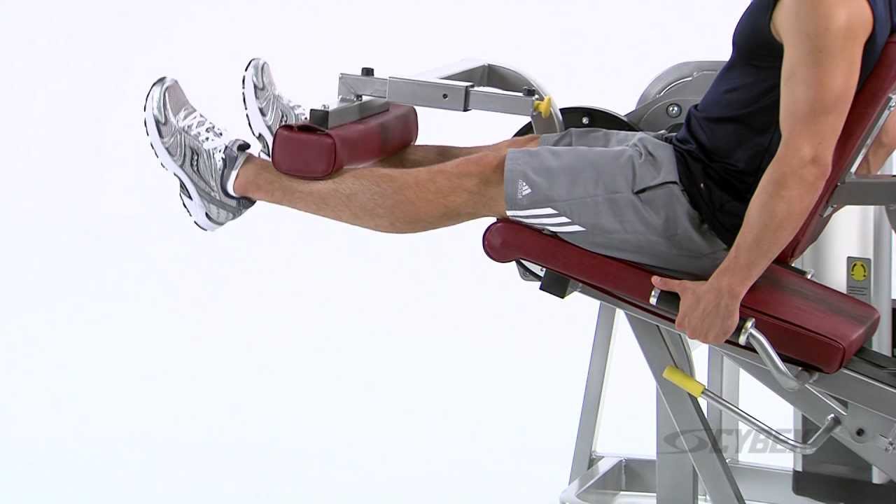 Cybex Eagle Leg Extension