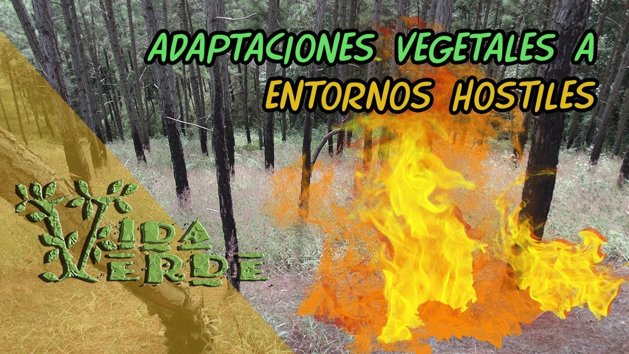 Vida Verde Adaptaciones ENTORNOS HOSTILES