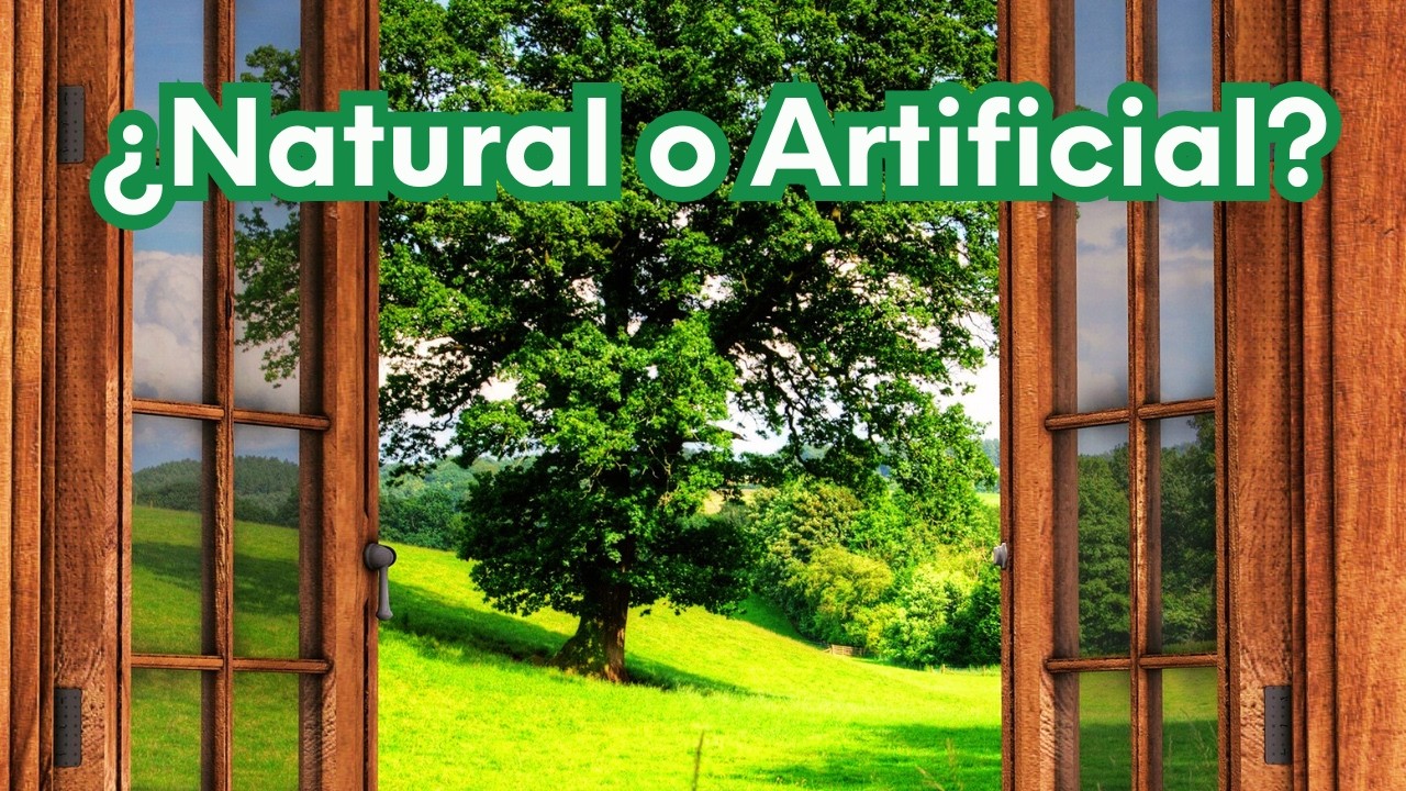 👉 ambiente natural vs ambiente artificial 🌍