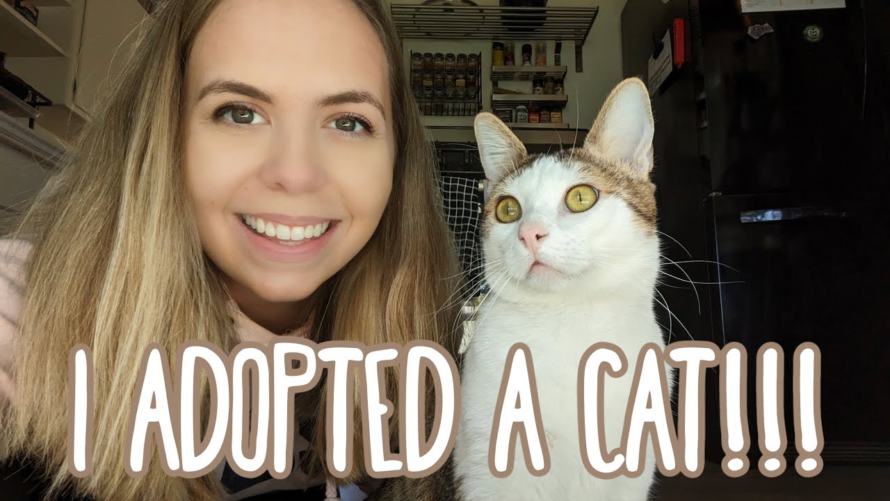 I Adopted a Cat!!! 😸 THE BEST DAY EVER