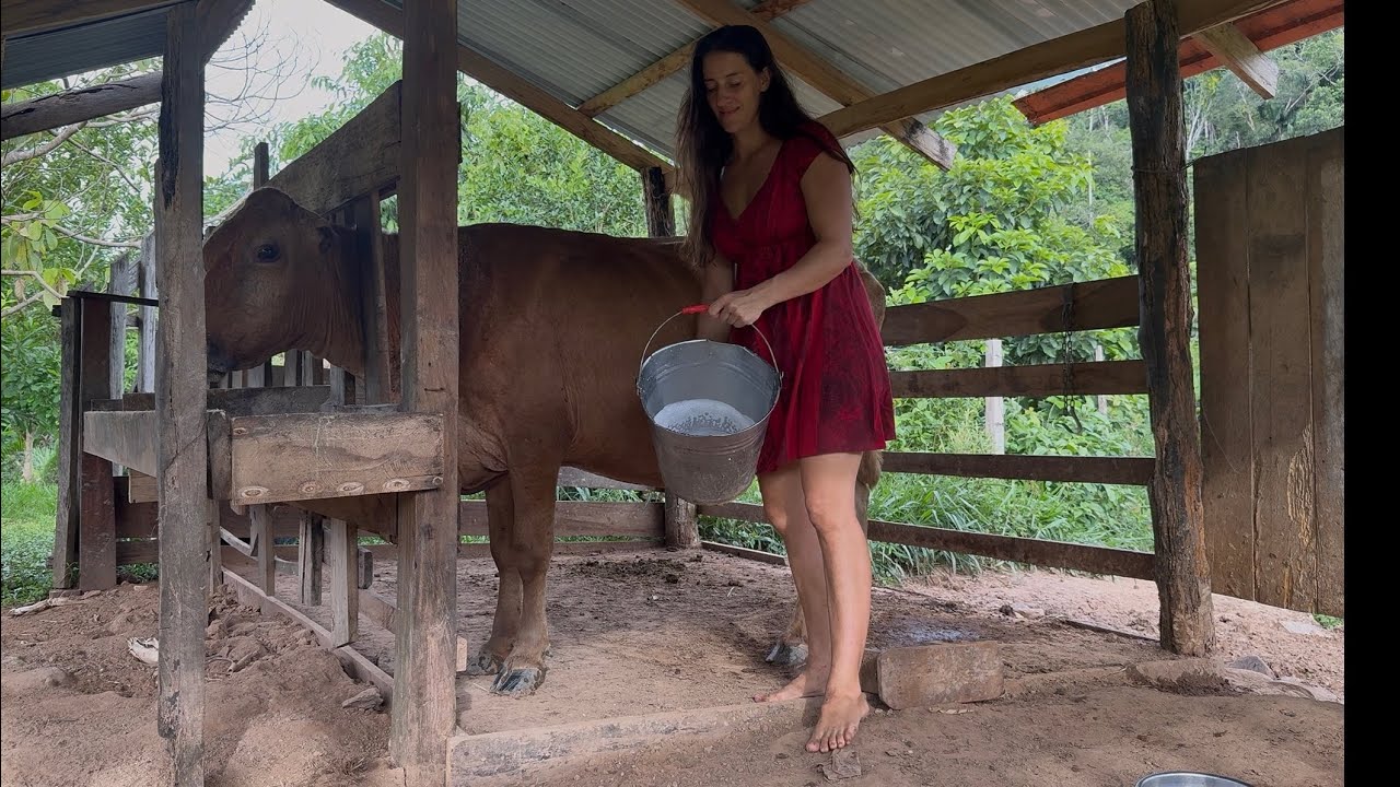 Just an Evening chore in the jungle 