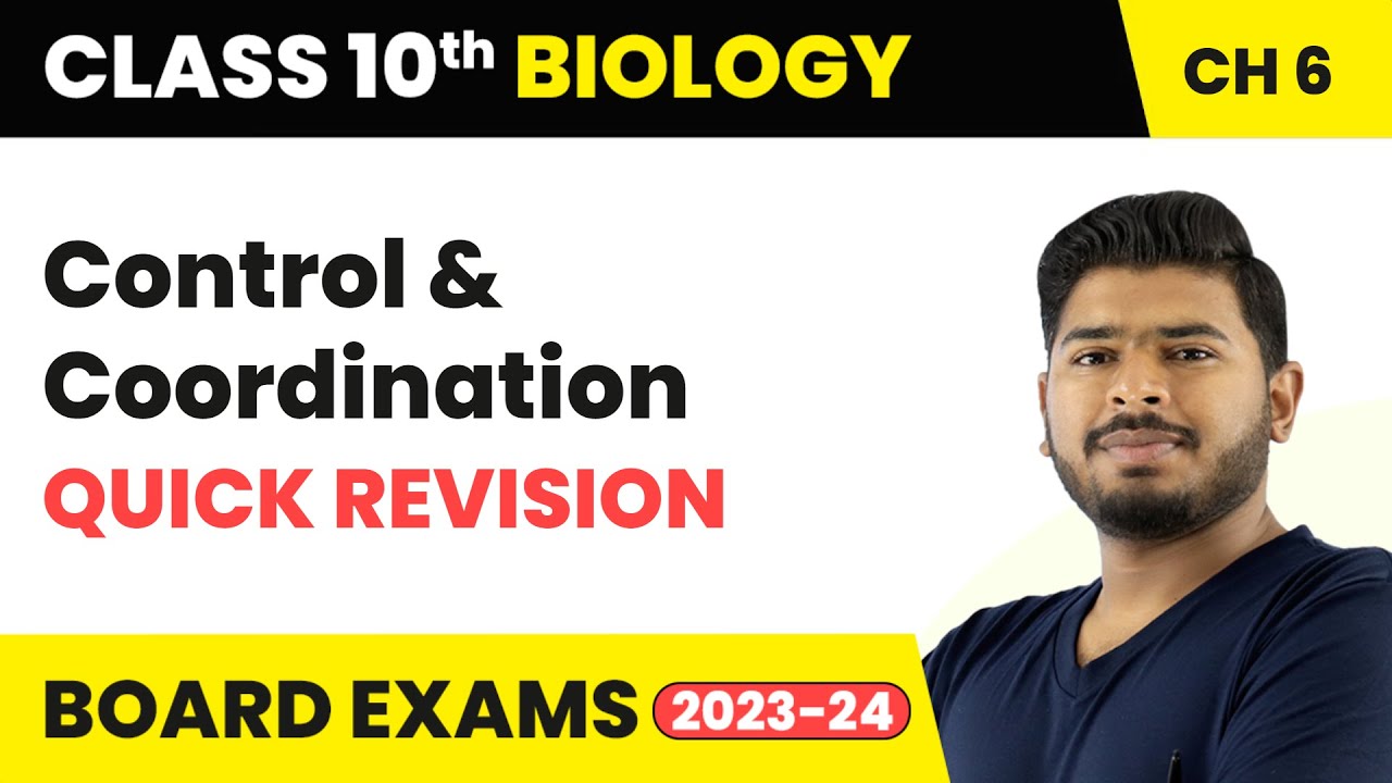 Control and Coordination - Quick Revision | Class 10 Science Chapter 6