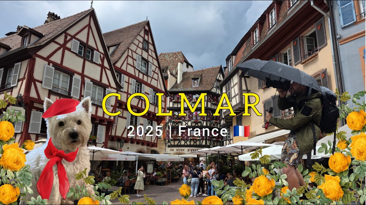 Colmar, France | Most Beautiful Town in Alsace 🇫🇷✨