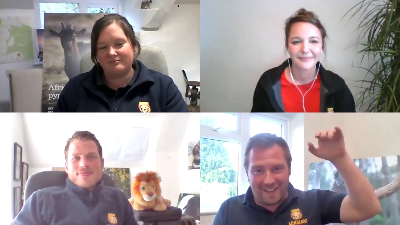 Longleat's Live Q&A with keepers (17th April 2020)