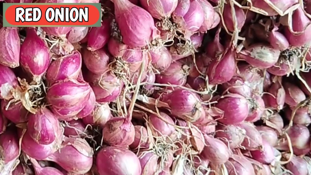 WASPADA BOLO...!!! HARGA BAWANG MERAH HARI INI, SELASA, 10/3/2026 DI PASAR PROBOLINGGO