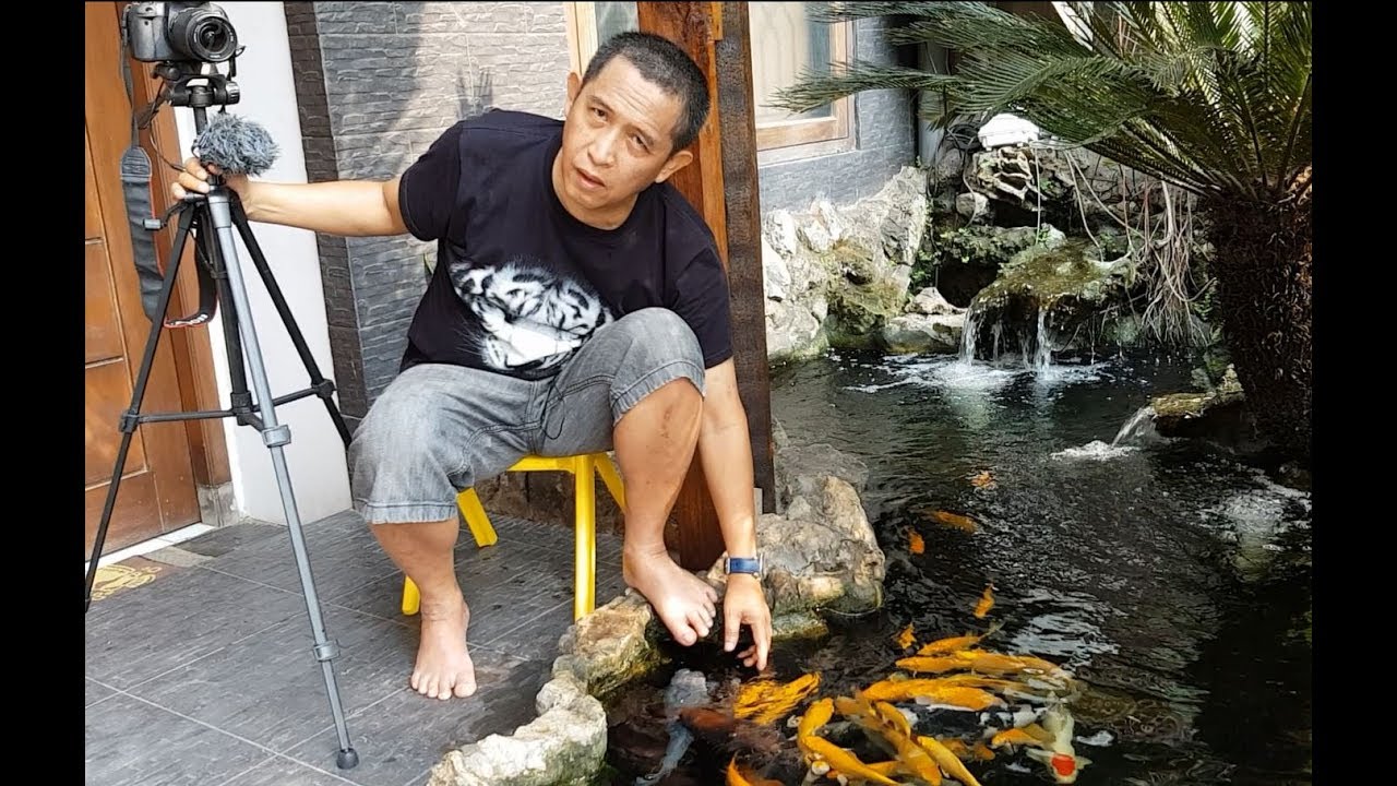 KOLAM KOI SEDERHANA | SIMPLE KOI POND | English Subtitle | Tutorial Kolam Koi (10)