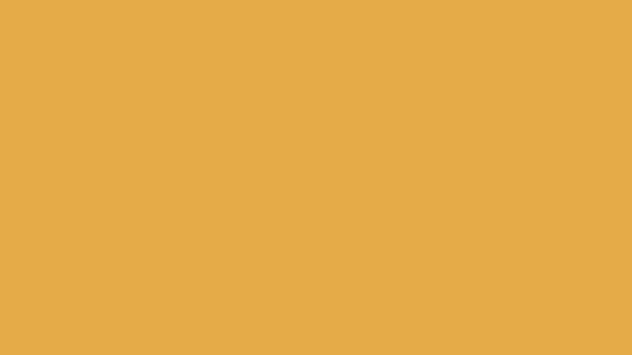 Sunbeam Orange (#ECAB45) – 10 Minutes Background