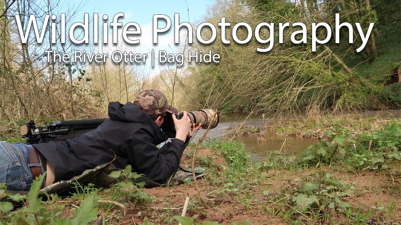 Wildlife Photography UK | River Otter | Bag Hide