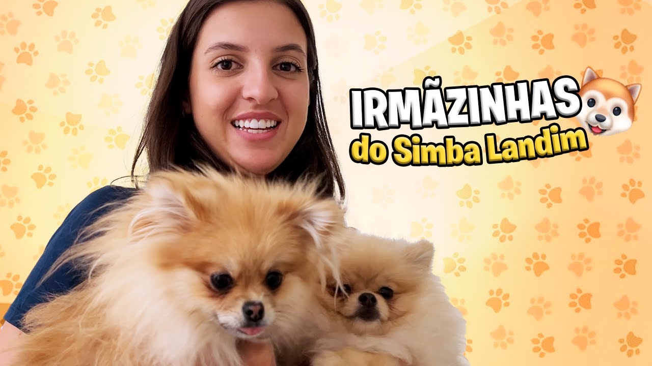 Fomos No Brechó Em Busca da Mesa Perfeita + Conhecemos As Irmãs do Simba Landim!!