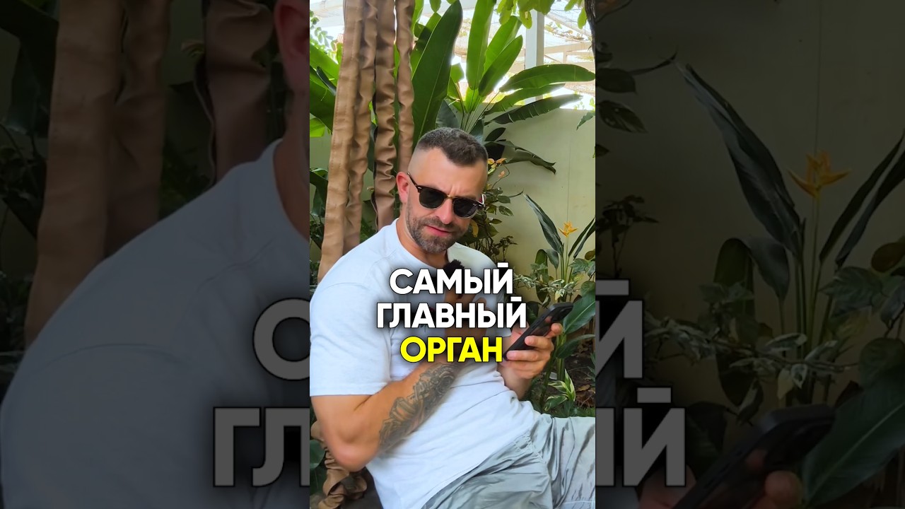 САМЫЙ ГЛАВНЫЙ ОРГАН #анатомия #тело #питание #диета
