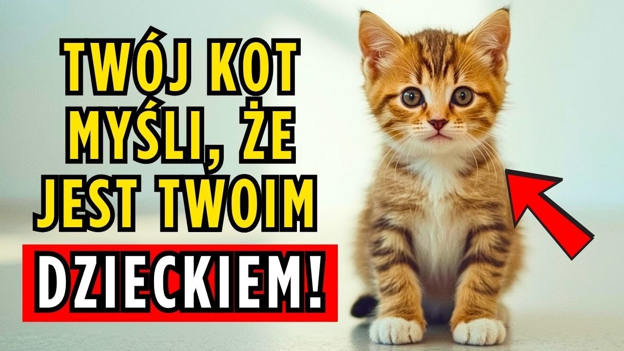 Jak Opiekować się MAŁYM KOTKIEM - Praktyczne i Łatwe Wskazówki