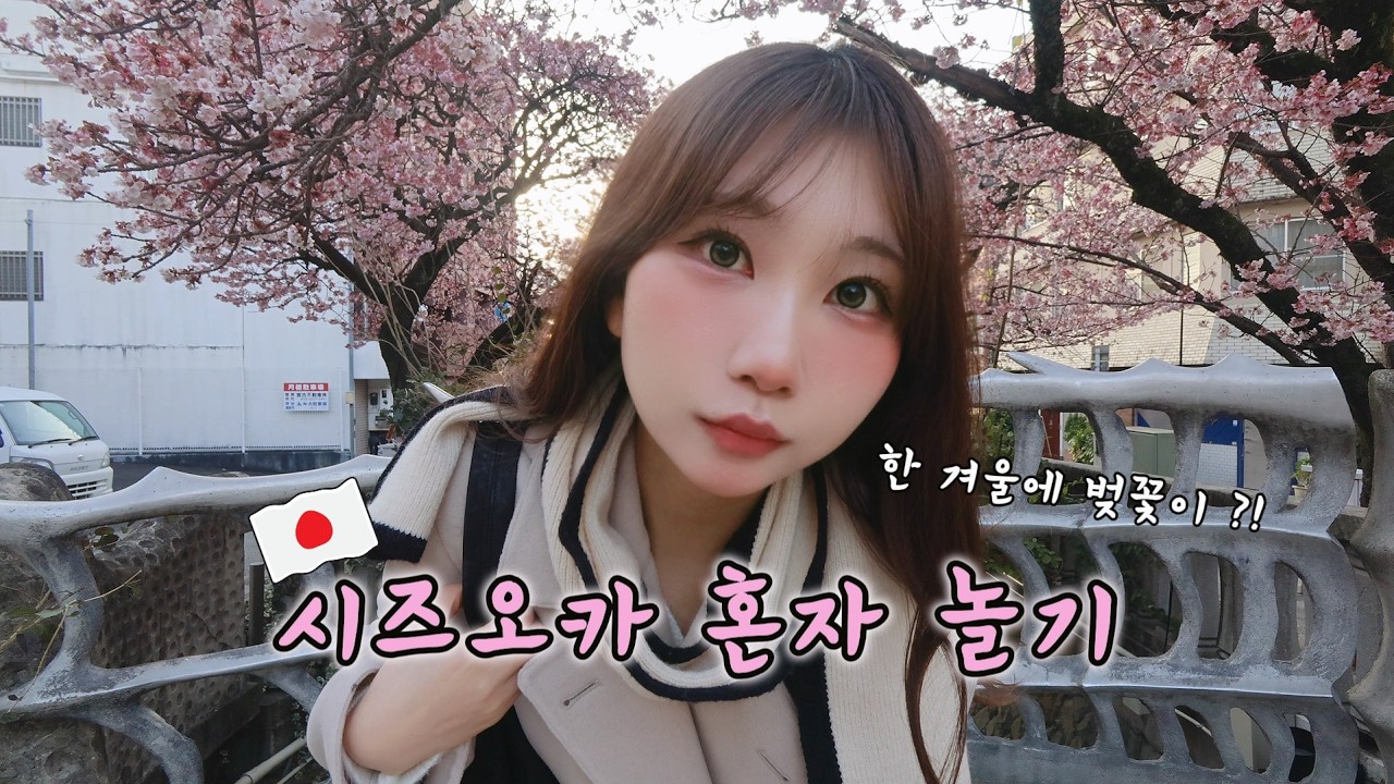 일본에서 가장 빨리 피는 벚꽃구경ㅣ시즈오카 아타미 혼자여행