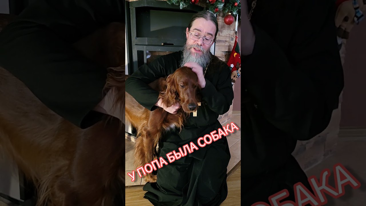 У Попа Была Собака. О Любви. #shorts