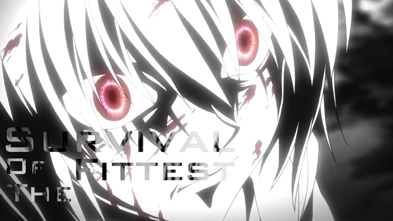 HxH Tribute【ASMV】Survival Of The Fittest