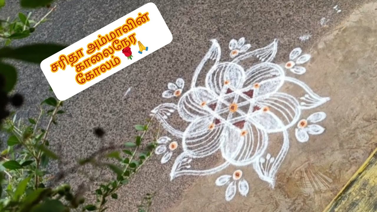 #Feb26 சரிதா அம்மாவின் காலைநேர கோலம்🌹🙏#சரிதாஅம்மாவின்dailyrangolidesigns#pookolamchannel #viralvideo
