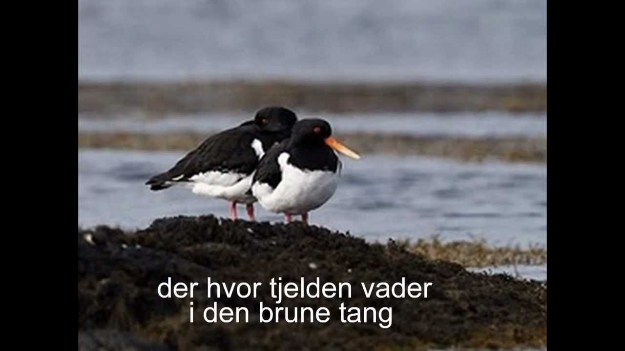 Barndomsheimen