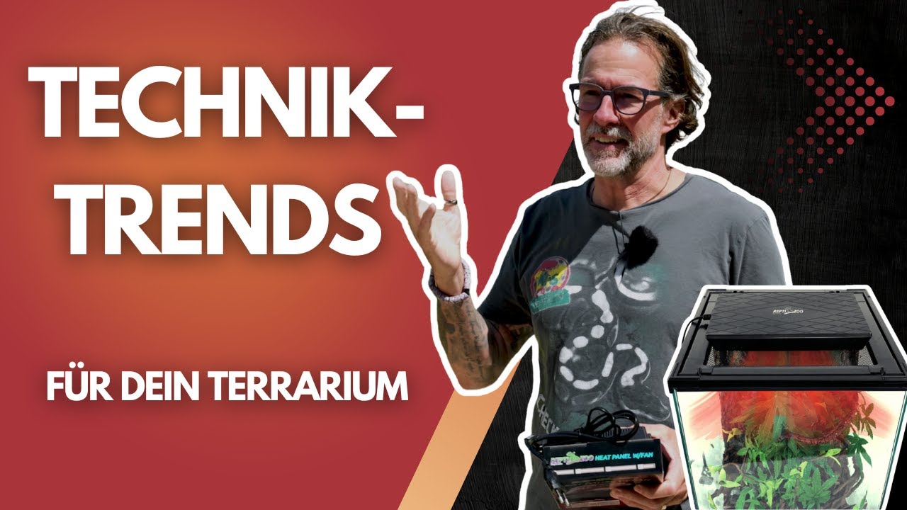 Schluss mit schlechter Wärme!🔥 DAS ist die Lösung fürs Terrarium!