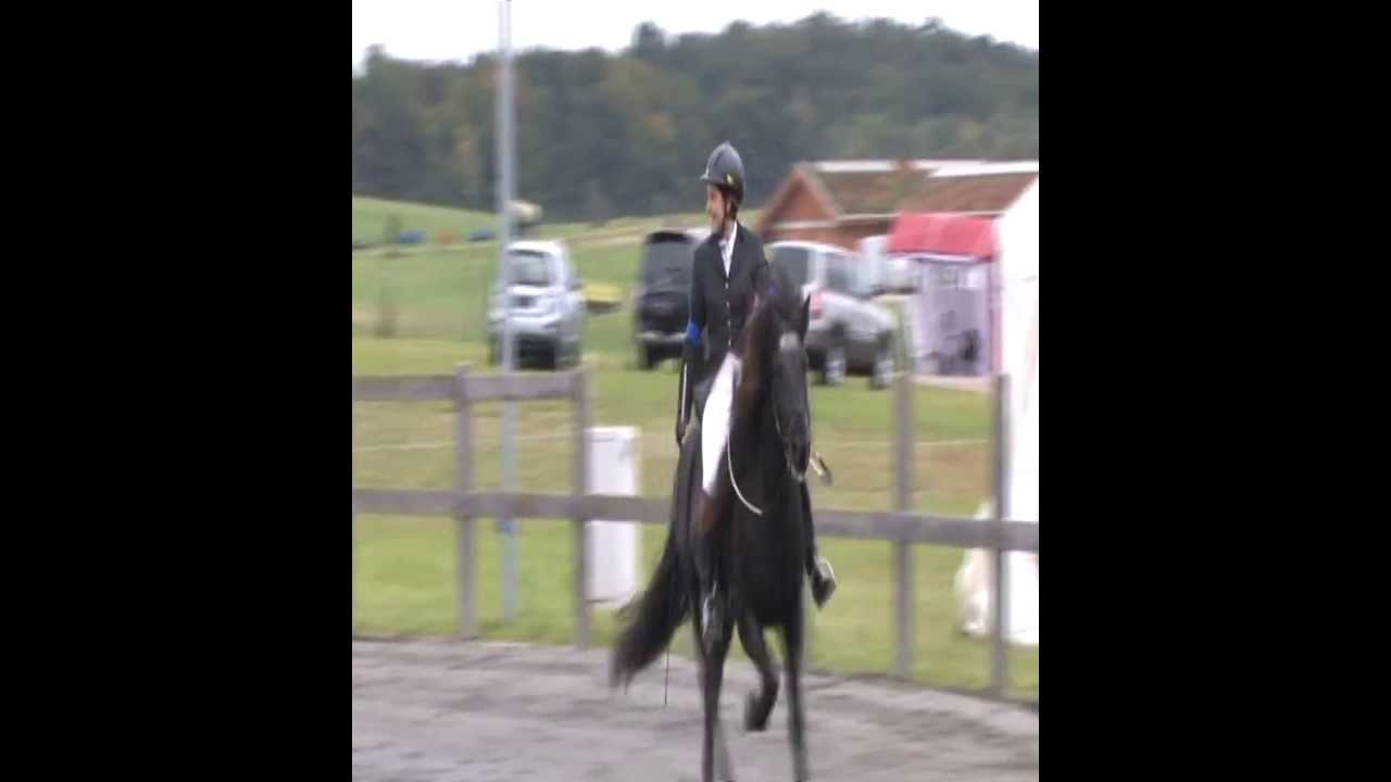 isibless @ Passchampionat 2007 - T2