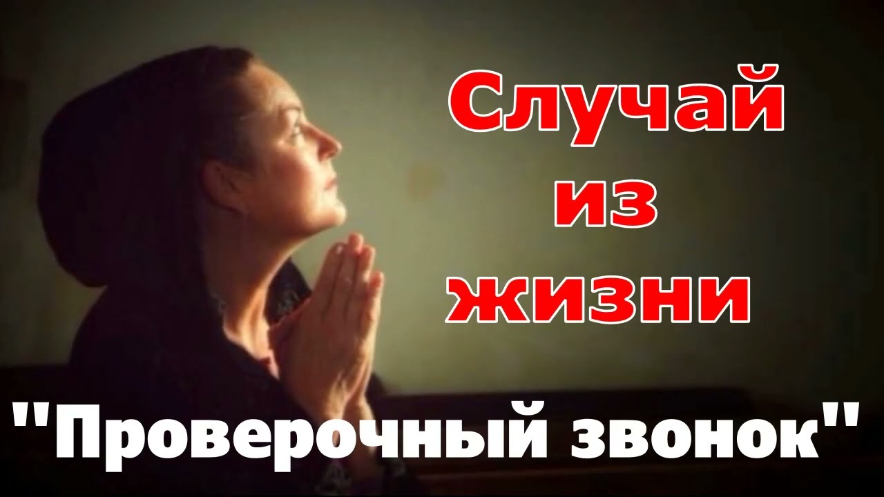 Случай из жизни и своё стихотворение рассказывает Светлана Тимохина 