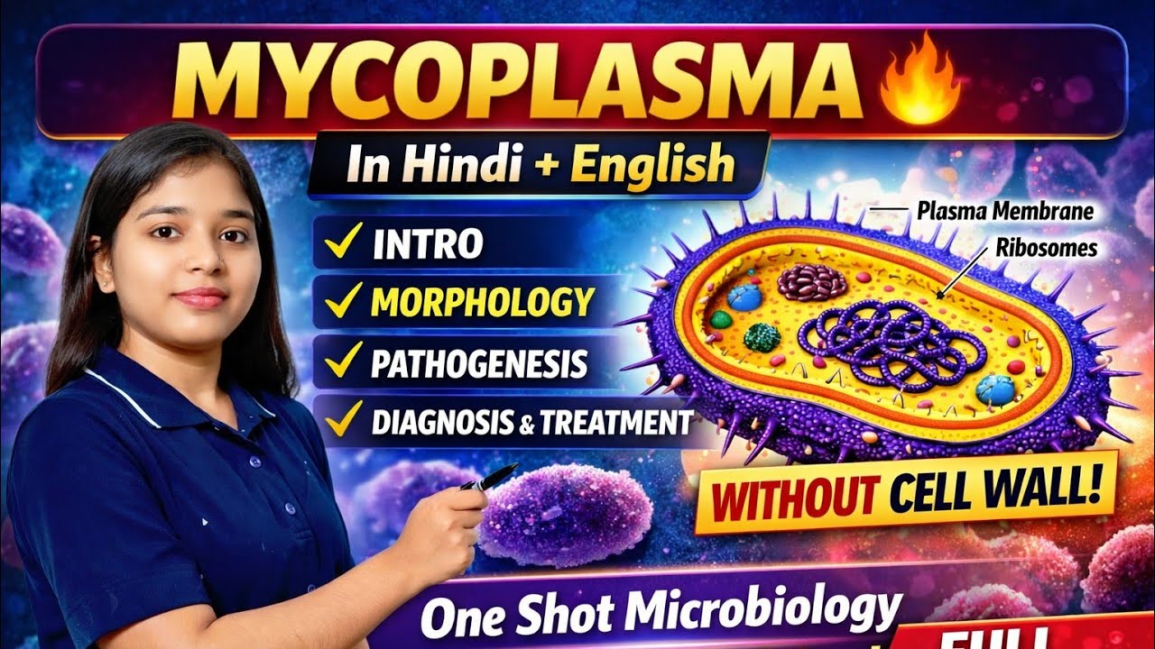Mycoplasma Full Explanation (Hindi + English) | Lab Diagnosis, Clinical Features & Treatment | Micro