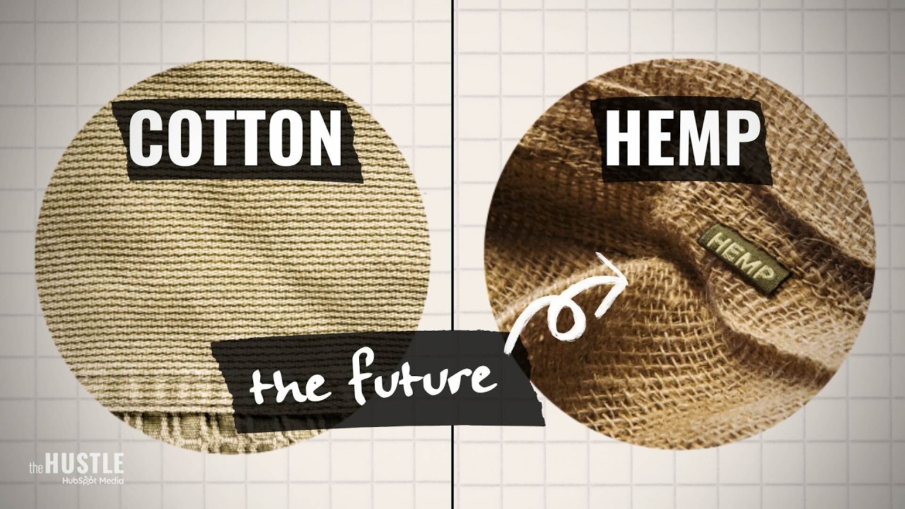 The Real Reason Hemp Hasn’t Replaced Cotton
