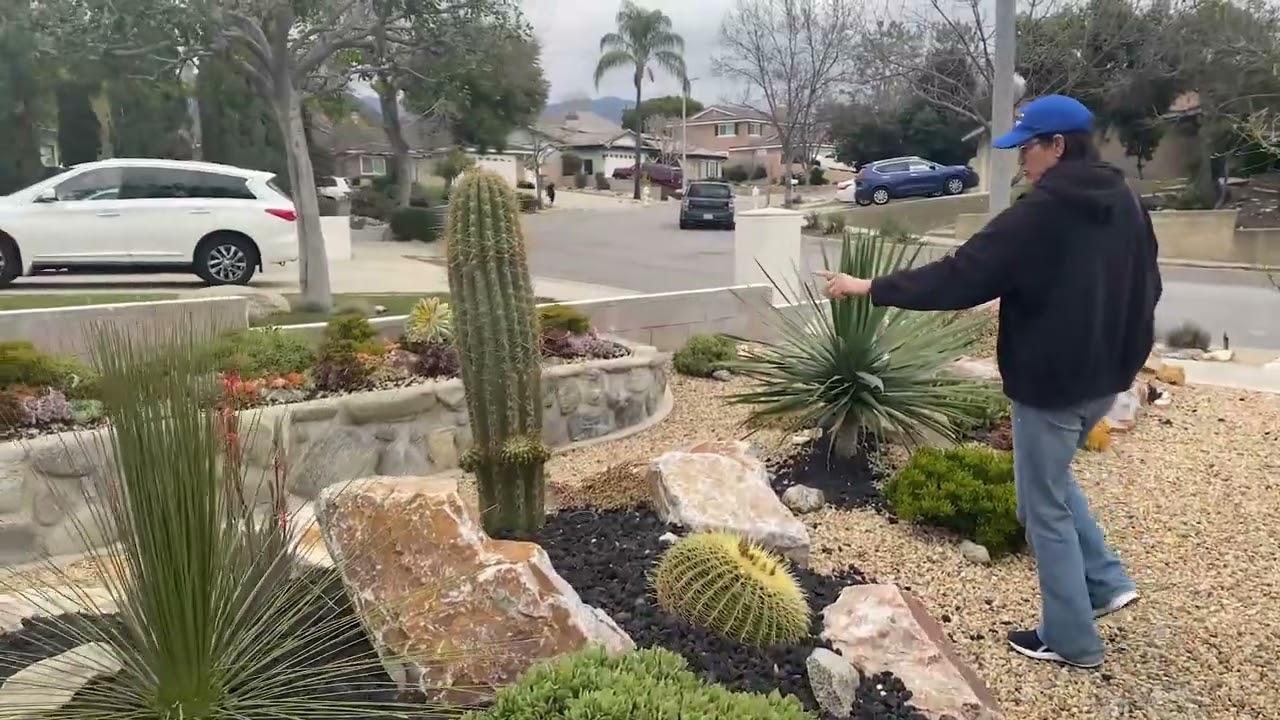 Claremont Succulent Garden Tour and a BIG Announcement!