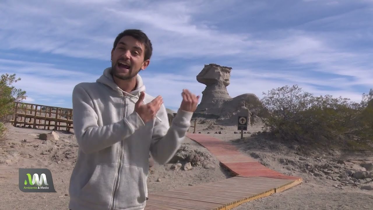 Ruta natural de desiertos y volcanes: Parque Provincial Ischigualasto