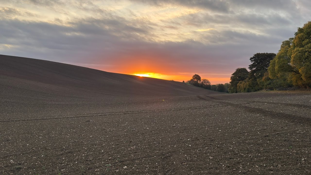 Hertfordshire Bedfordshire circular walk 