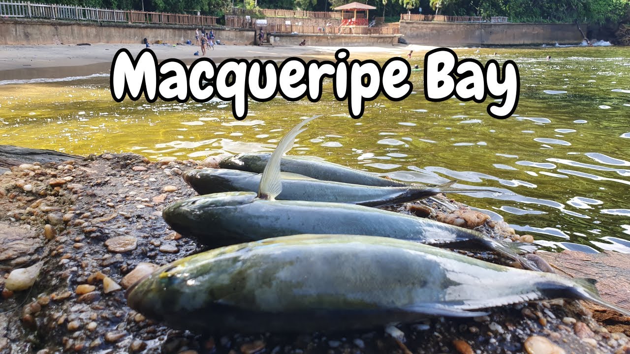 ANYBODY CAN DO THIS KIND OF FISHING! Catch & Cook Off The Rocks - Macqueripe Bay, Trinidad Caribbean