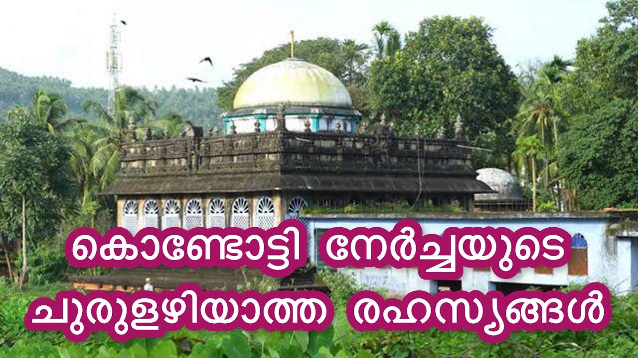Kondotty nercha കൊണ്ടോട്ടി നേർച്ച