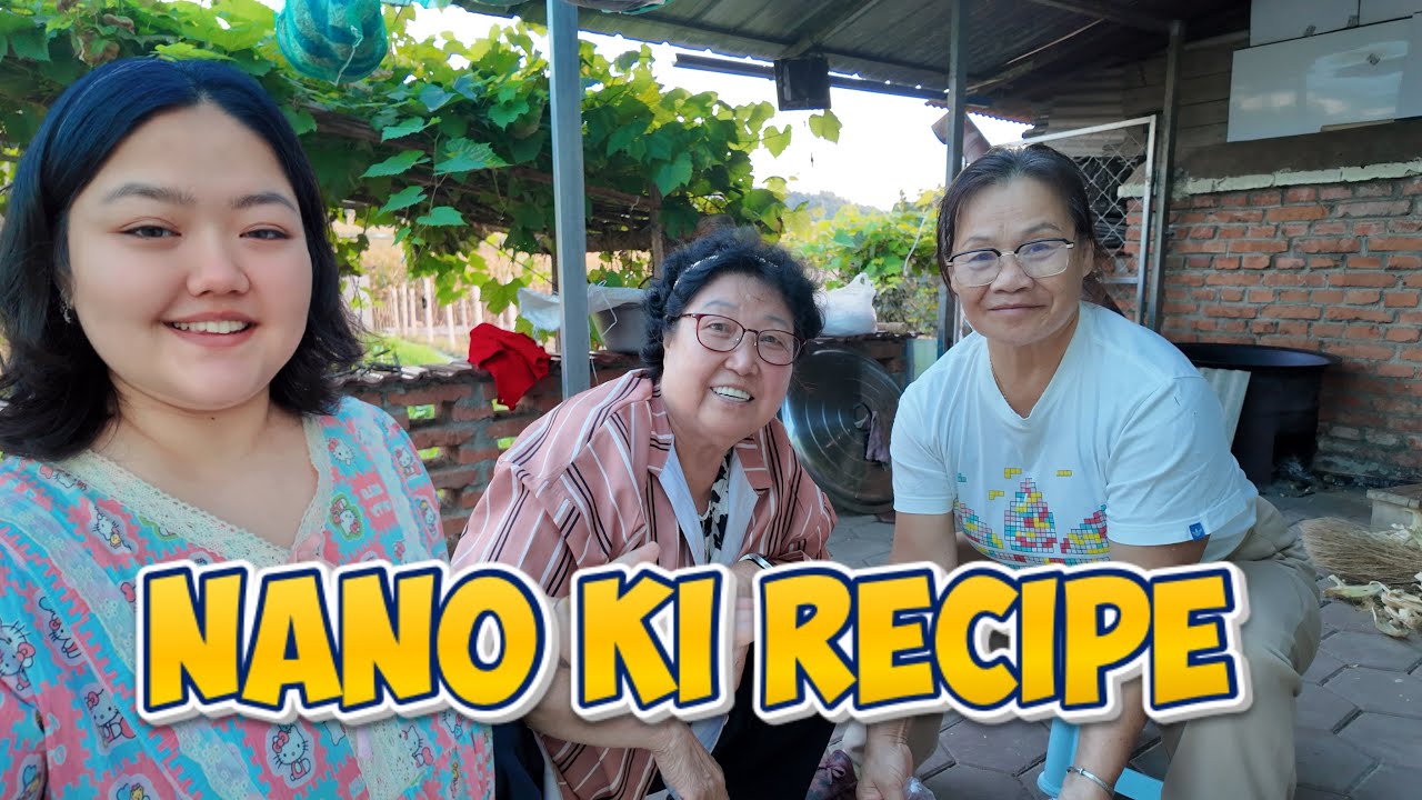 Nano Ki Special Recipe 😋| Meet Nano ki best friend 🥰| Desi Korean 