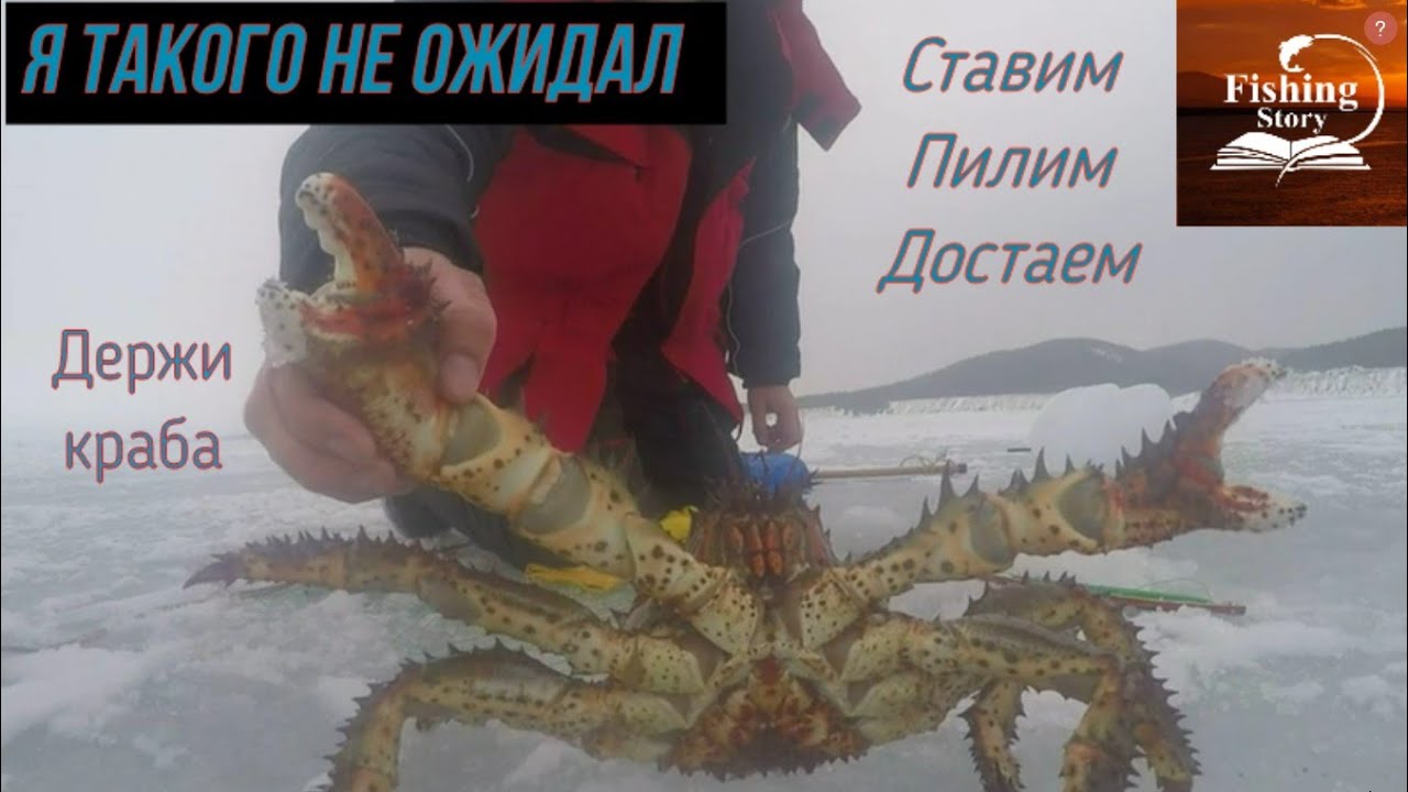 Как сахалинцы ловят колючего(королевского) краба из-подо льда,со дна охотского моря