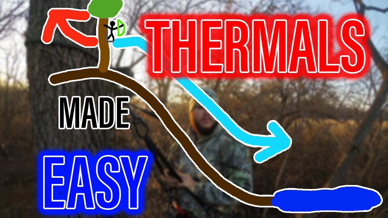 Navigate the Hunt: Unleash the Potential of Thermals and Wind Currents